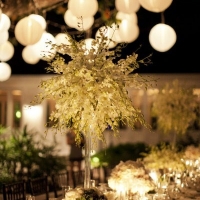 Nagyobb kép megtekintése